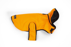 Hi-Visibility Dog Coat