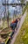 Kinsman Notch Bouldering Dogarf - Sherwin Dodge