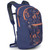 Daylite 13L
