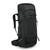 Talon 44
