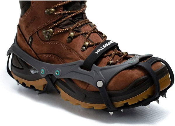 FlexSteps