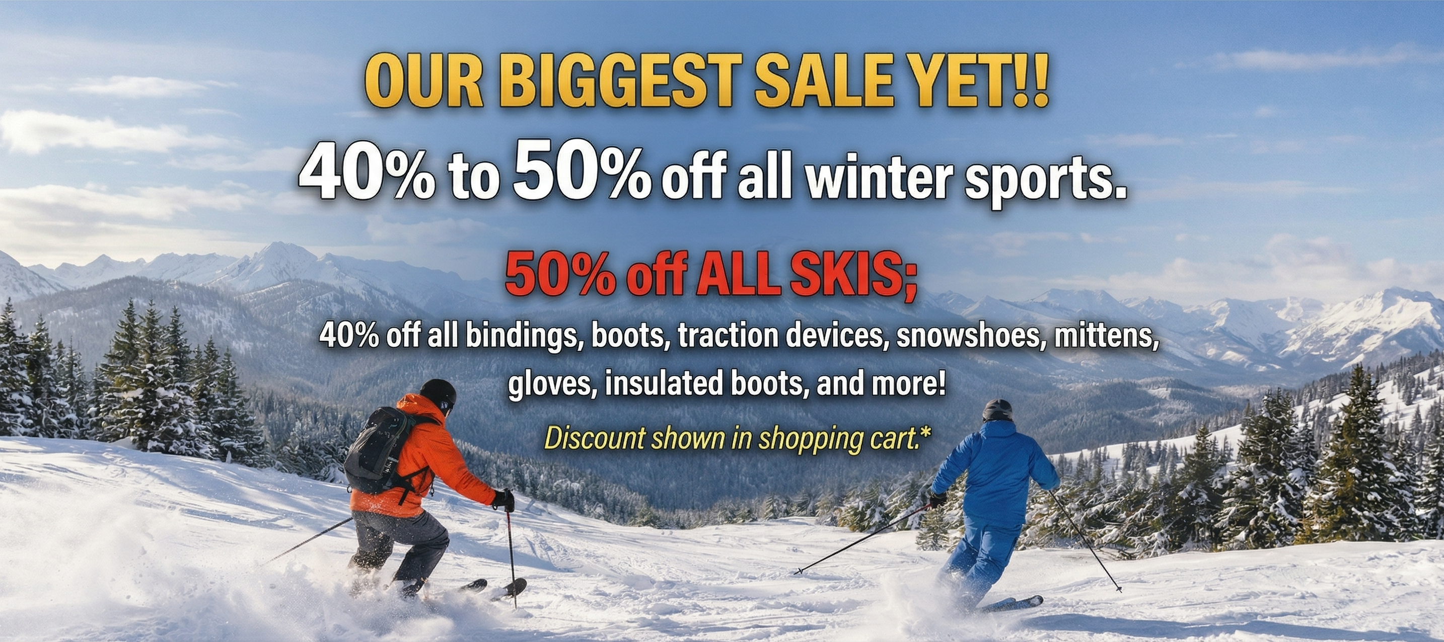 ASNES, Back Country, Alpine Touring, Ski Sale, Skis, snowshoes, traction, mittens, 