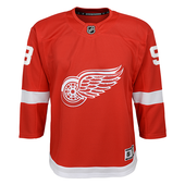 Alex DeBrincat Detroit Red Wings Youth Home Replica Jersey - Red