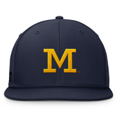 michigan fitted jordan hat