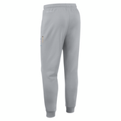 Detroit Lions Nike 2025 Sideline Ground Game Performance Taper Pants - Gray