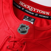 Detroit Red Wings Fanatics Centennial Custom Premium Jersey - Red