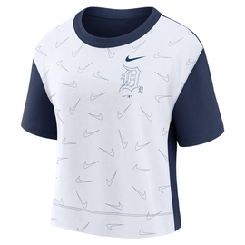 Detroit Tigers Nike Authentic Collection Pregame Performance V-Neck T-Shirt  - Gray