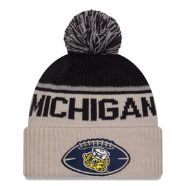 Michigan Wolverines New Era Vault Knit Hat - Chrome