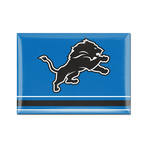 Detroit Lions WinCraft Alternate Logo Metal Magnet