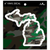 MI Culture Green Camo Michigan Vinyl Decal