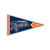 Detroit Tigers Wincraft Pennant Collector Pin