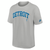 Detroit Lions Nike Statement Heavy Max 90 T-Shirt - Silver