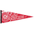 Detroit Red Wings WinCraft Premium Pennant