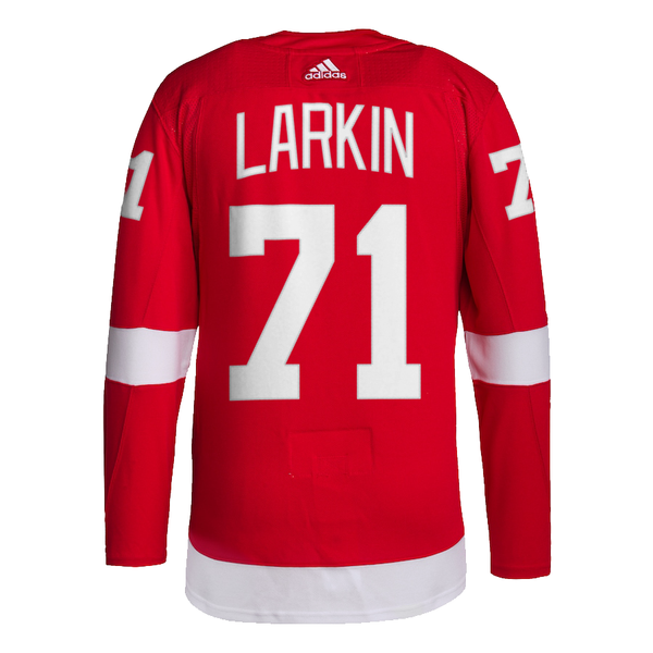 Dylan Larkin Red Wings jersey