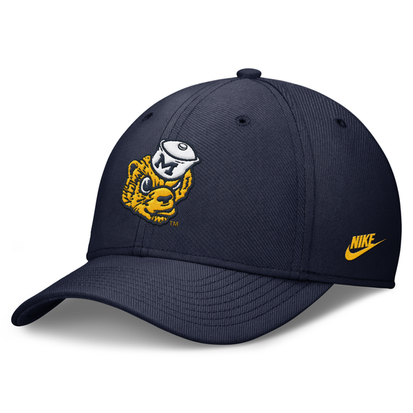 jordan flex hat