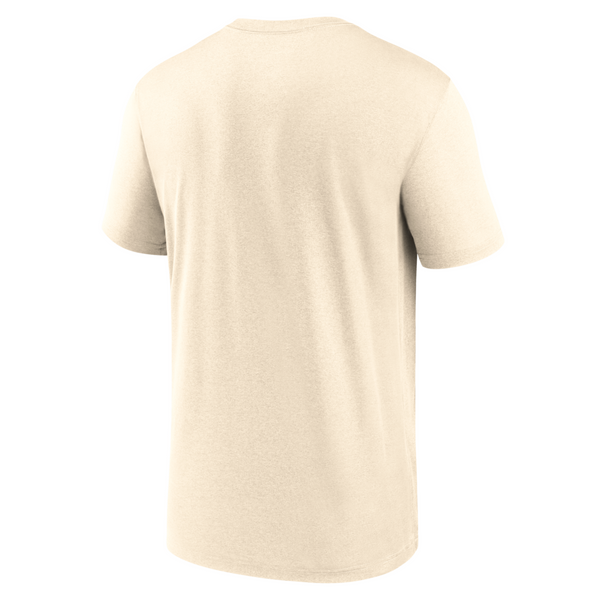 Michigan Wolverines Jordan Brand Legend Shadow Logo Performance T-Shirt - Natural