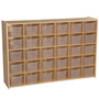Contender 30-Cubby Shelf Organizer with Transculent Bins