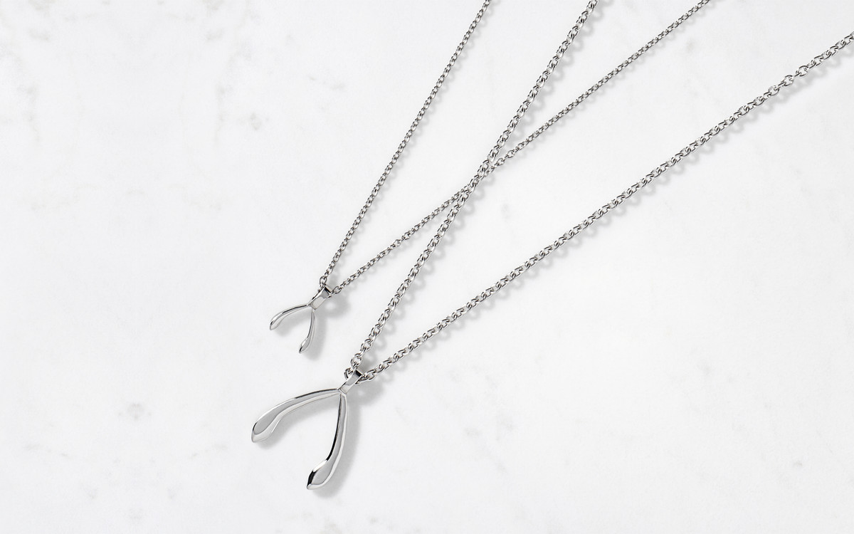 Wishbone Pendant & Chain Large / Silver 