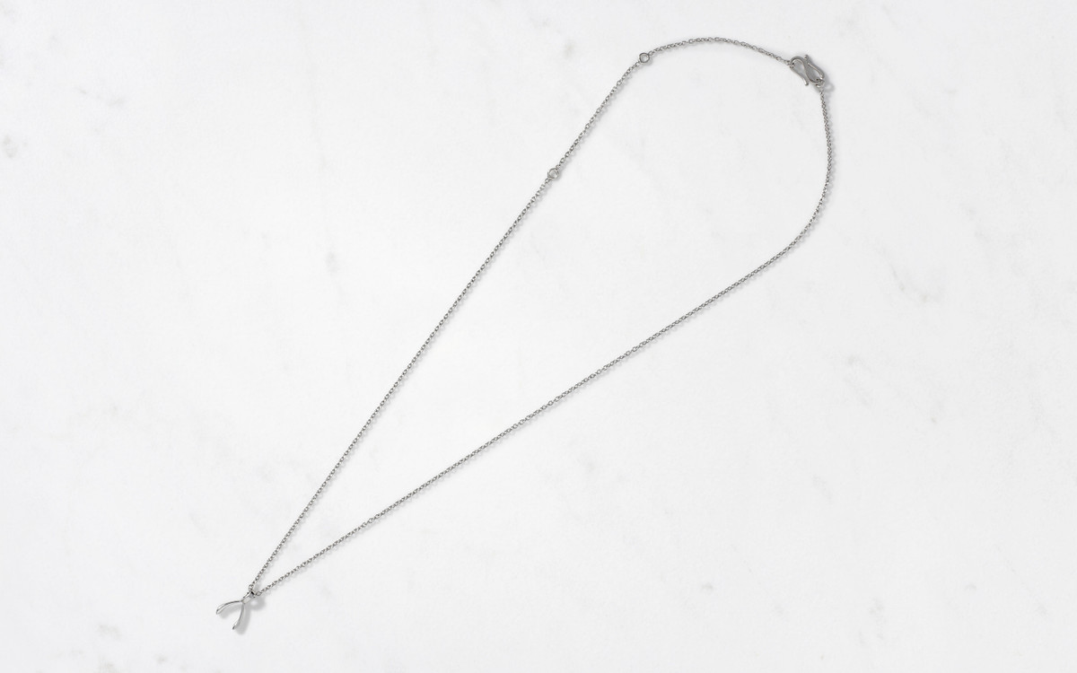Wishbone Pendant & Chain Small / Silver 