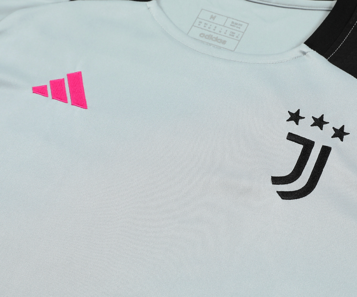 Juventus 24/25 Men's Gray Training Tank Top