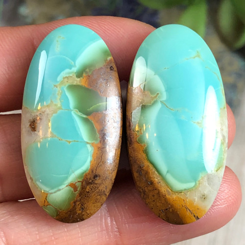 Royston Turquoise cabochon pair 