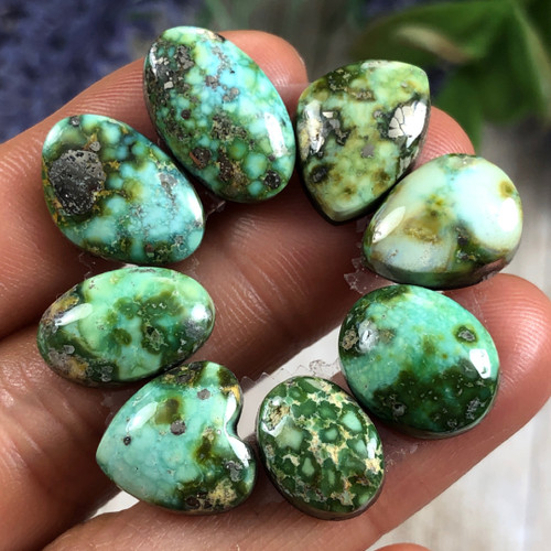 46.2 CTs. Sonoran Gold Turquoise Cabochon Set