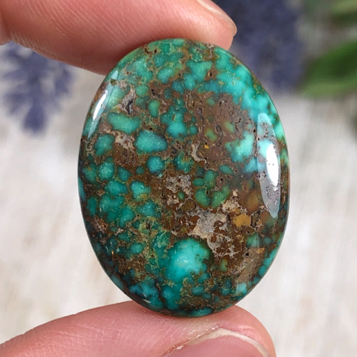 24.6 cts. Patagonia Turquoise Cabochon 
