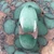 32.2 carats Natural Desert Bloom Variscite Cabochon 