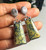 Tortoise Variscite Dangle Earrings