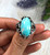 Fox Turquoise ring size 7.75