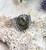 Damele Variscite Ring