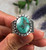 Natural Fox Turquoise Men's Ring Size 10