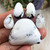 White Buffalo Dog Paw Cabochon Set