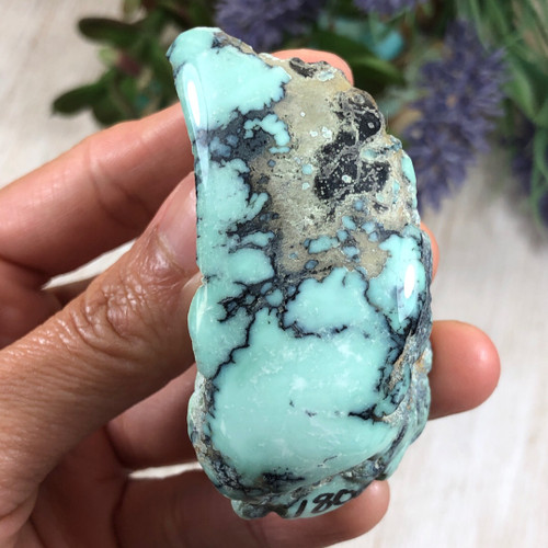 Natural Angel Wing Variscite Rough Specimen/ Display Rock Dillon