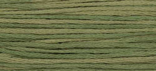 WDW - Weeks Dye Works Over Dyed Embroidery Floss - Artichoke #1183