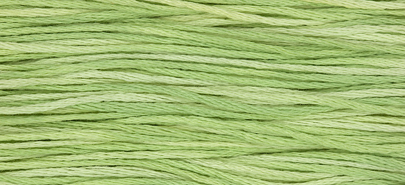 WDW - Weeks Dye Works Over Dyed Embroidery Floss - Wasabi #1120