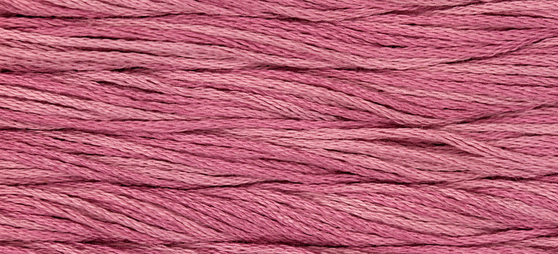 WDW - Weeks Dye Works Over Dyed Embroidery Floss - Busy Lizzie #2272