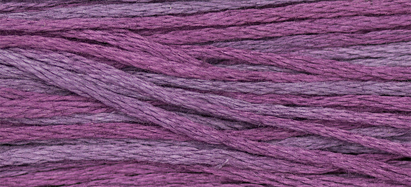 WDW - Weeks Dye Works Over Dyed Embroidery Floss - Concord #1318