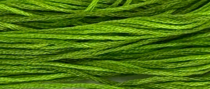 WDW - Weeks Dye Works Over Dyed Embroidery Floss - Paris Green #2204a