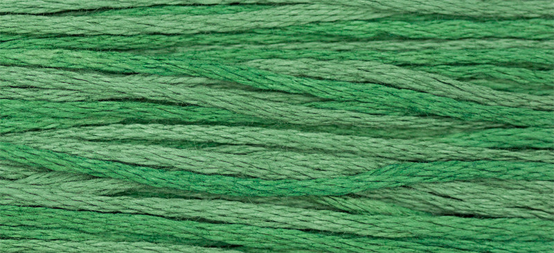 WDW - Weeks Dye Works Over Dyed Embroidery Floss - Hunter #2156