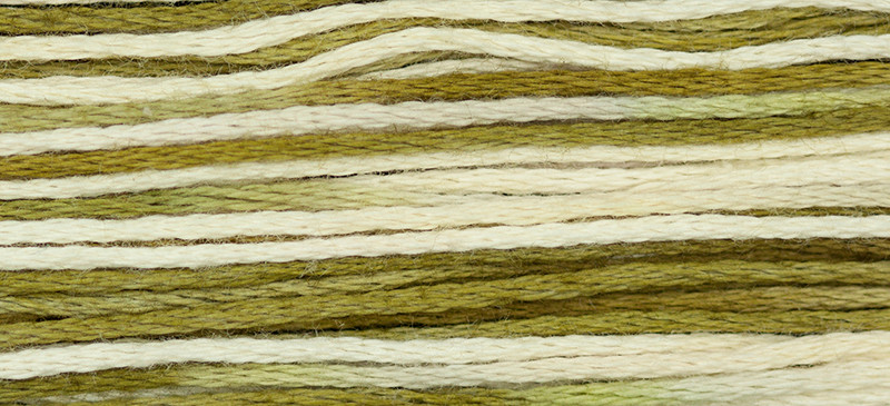WDW - Weeks Dye Works Over Dyed Embroidery Floss - Caramel #1216