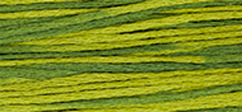 WDW - Weeks Dye Works Over Dyed Embroidery Floss - Moss #2201
