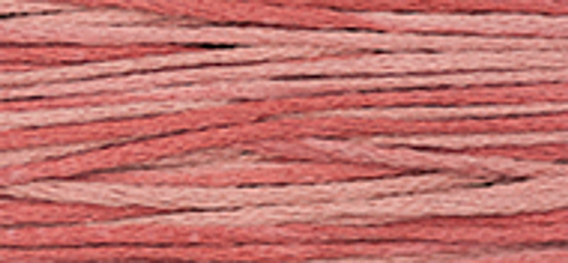 WDW - Weeks Dye Works Over Dyed Embroidery Floss - Red Pear #1332