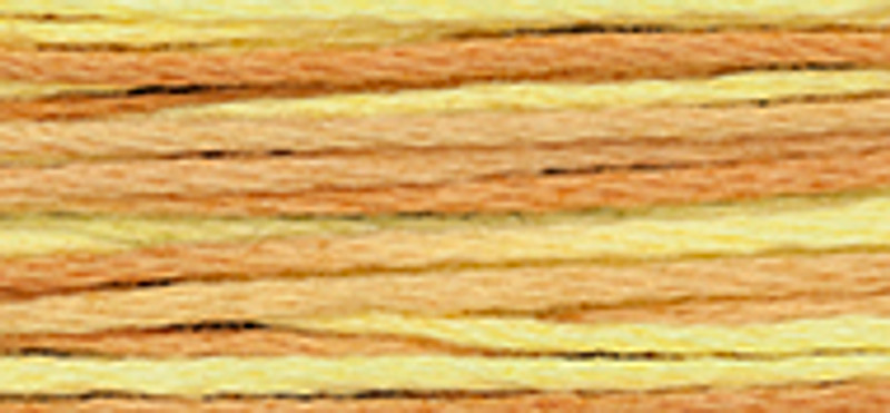 WDW - Weeks Dye Works Over Dyed Embroidery Floss - Cornbread #2222