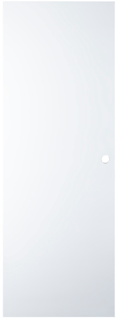 Interior White Wood Grain Door