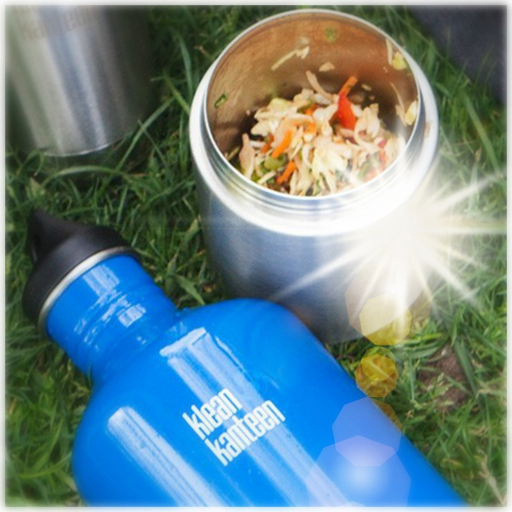 Stainless Steel Insulated Food Canister: 237ml (8oz)