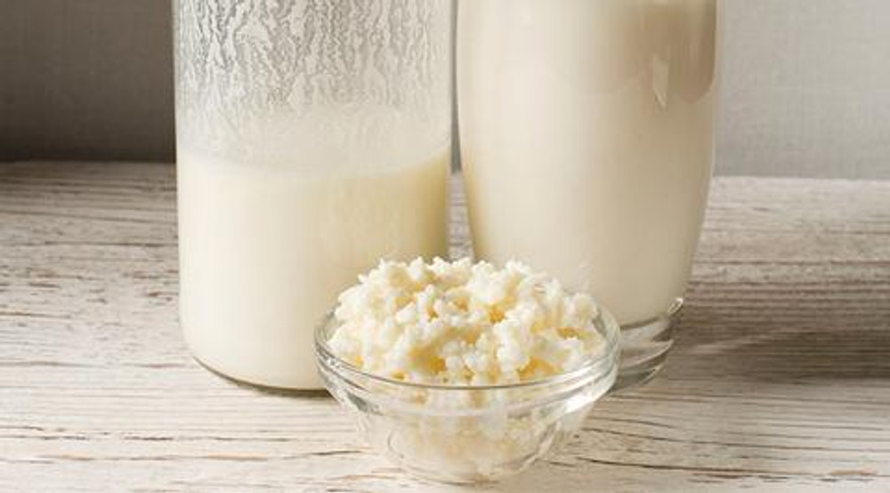 ‘Kefir’ the digestive tract tonic