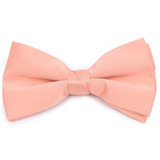 Boxed Men's Poly Satin Clip On Bow Ties - BTC1701BX