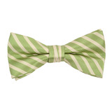 Boy's 2"Green Striped Polyester Woven Banded Bow Tie FBB11