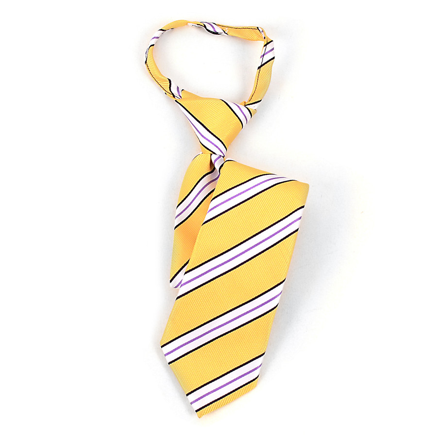 Boy's Gold & Purple Striped Zipper Tie 